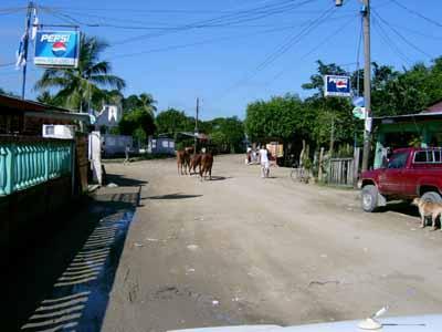 Fotky: Honduras (cestopis) (foto, obrazky)