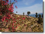 na jezee Titicaca