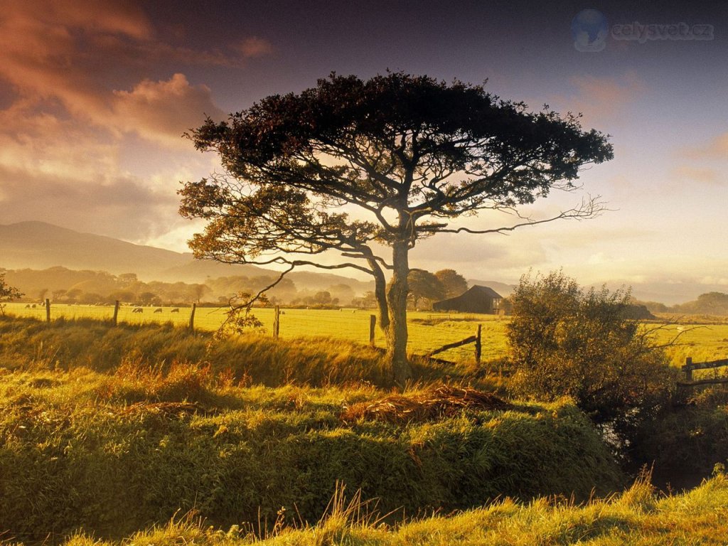 Foto: Scenic Near Harlech, North Wales