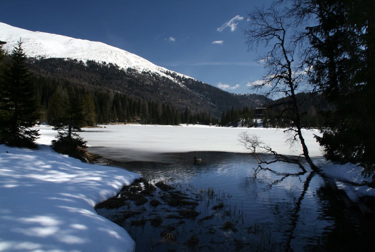 Foto: jezero Preber See