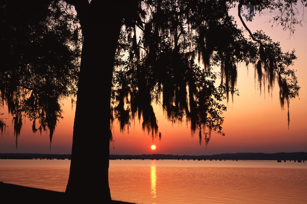 Foto: Sunset Over Martin Dies, Jr State Park, Texas