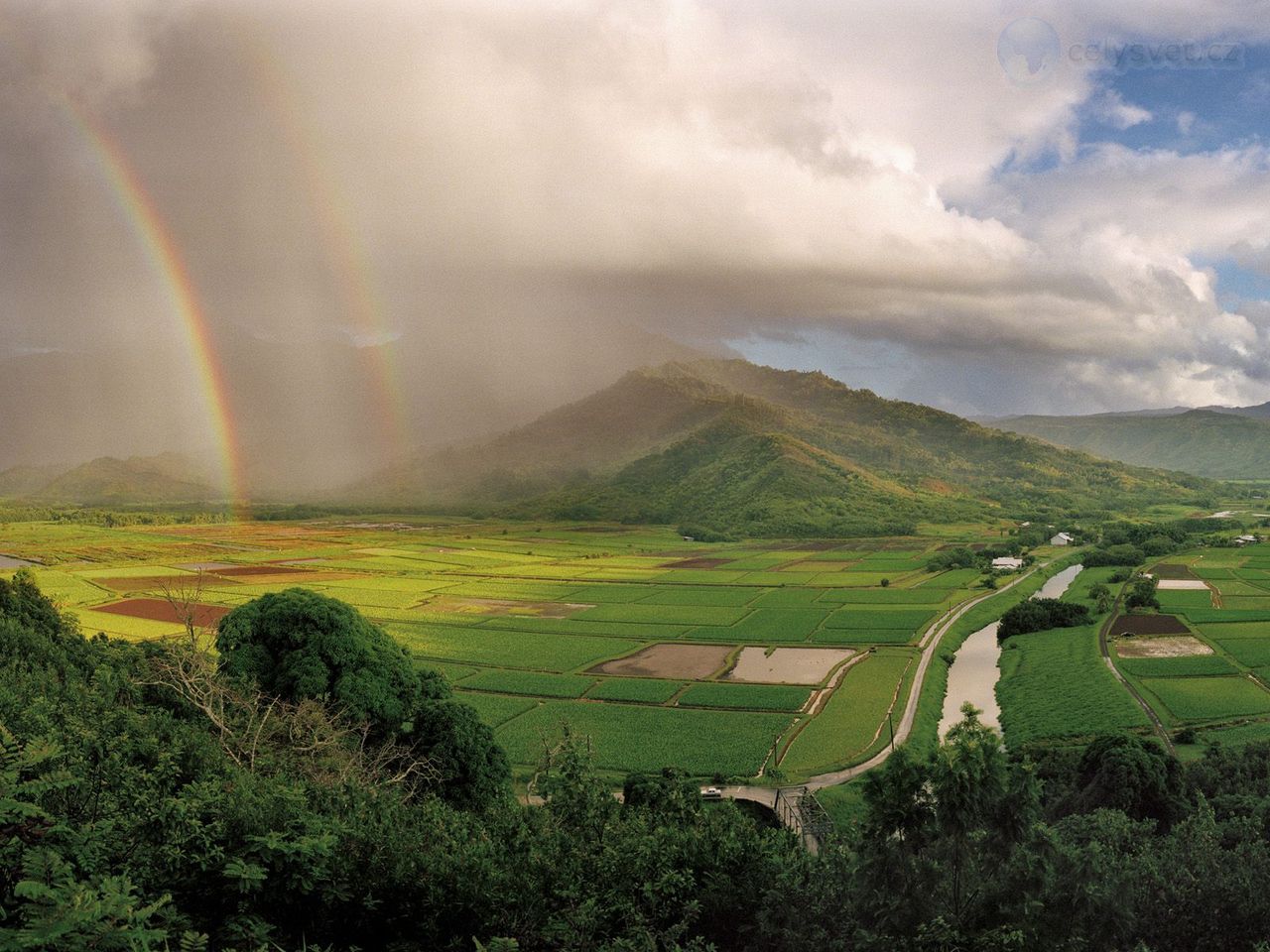 Foto: Valley, Kauai, Hanalei River, Hawaii