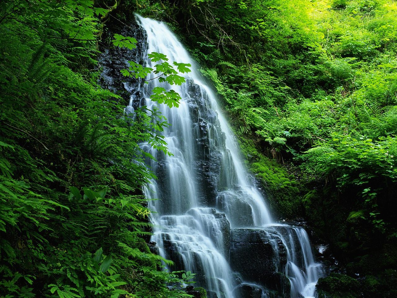 Foto: Movement In Nature, Oregon