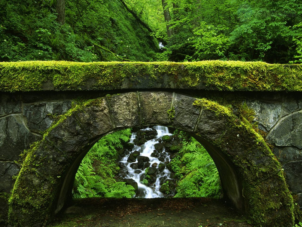 Foto: Shepperds Dell State Park, Columbia River Gorge National Scenic Area, Oregon