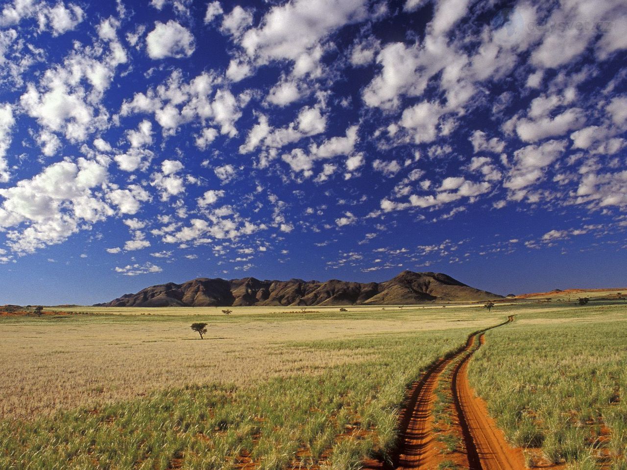 Foto: Tok Tokkie, Namibrand Reserve, Namib Desert, Namibia