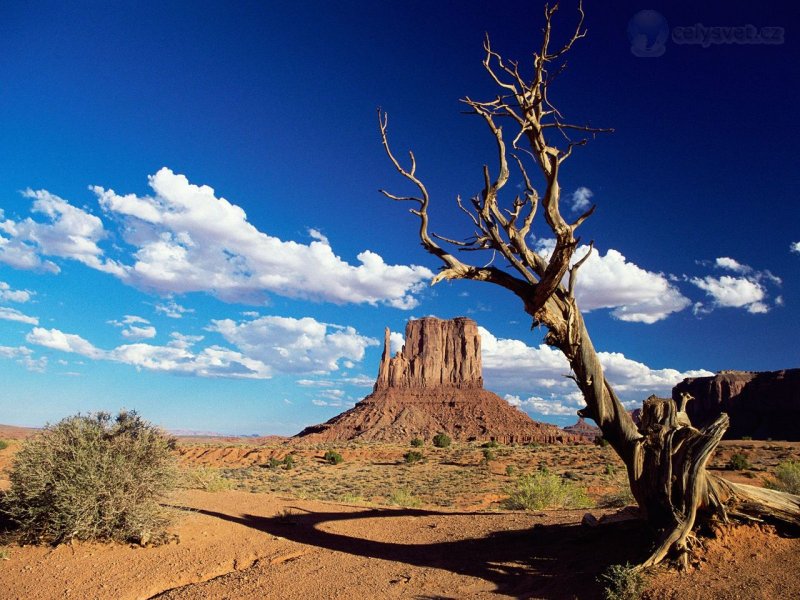 Foto: West Mitten Butte, Monument Valley, Arizona 2