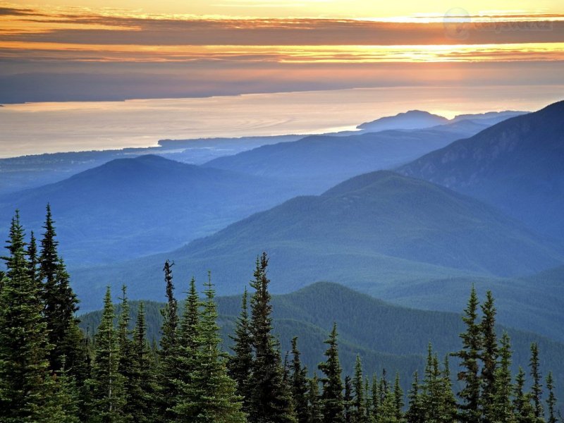 Foto: Sunset In Olympic National Park, Washington