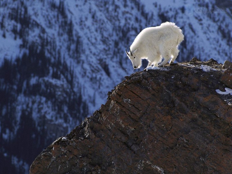 Foto: Long Way Down, Rocky Mountains, Colorado