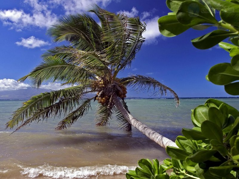 Foto: Molokai, Hawaii