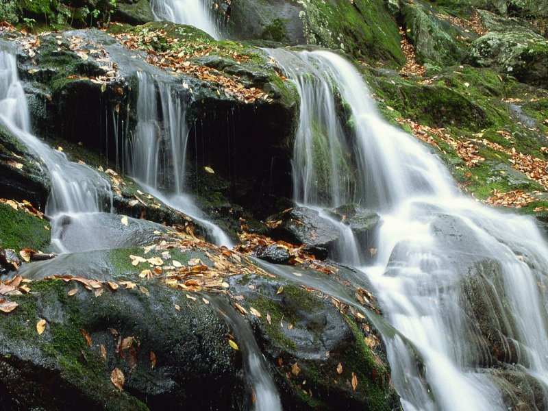 Foto: Dark Hollow Falls, Shenandoah National Park, Virginia