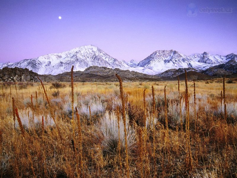 Foto: Winter Dawn, Bishop, California