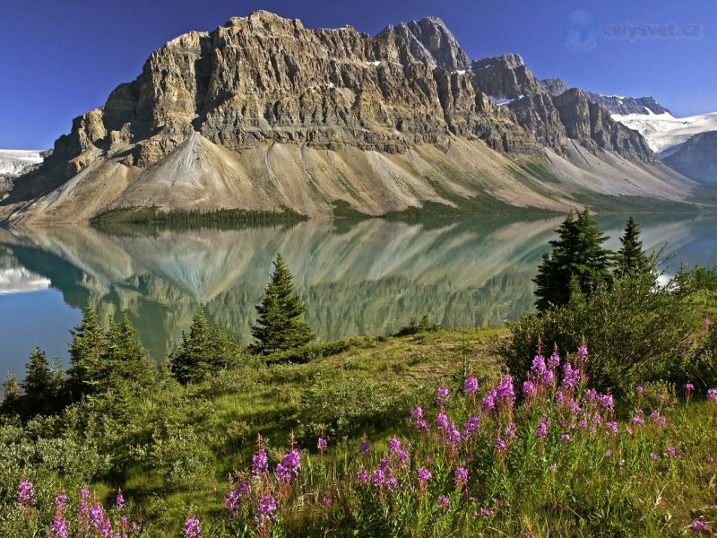 Foto: Bow Lake And Flowers, Banff National Park, Alberta, Canada