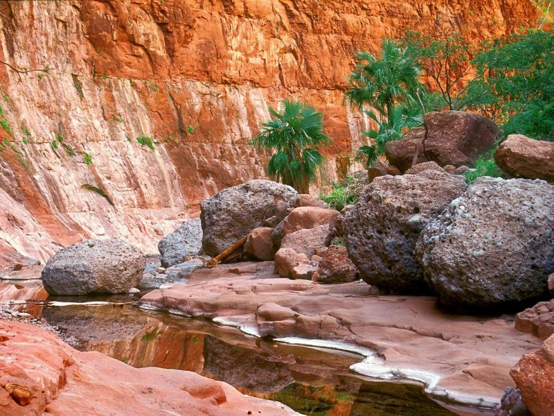 Foto: Hidden Oasis, El Cajon Canyon, Baja, Mexico