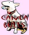 Chovatelska stanice ps: CANEA BULLS